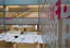 Snack bar in Ficoba, the � Singular-Food �